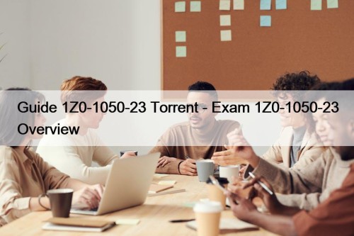 Guide 1Z0-1050-23 Torrent - Exam 1Z0-1050-23 Overview