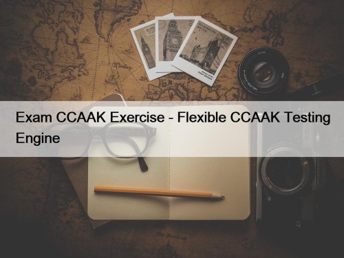 Exam CCAAK Exercise - Flexible CCAAK Testing Engine