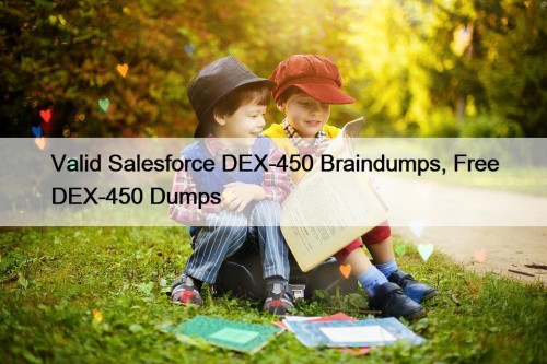 Valid Salesforce DEX-450 Braindumps, Free DEX-450 Dumps